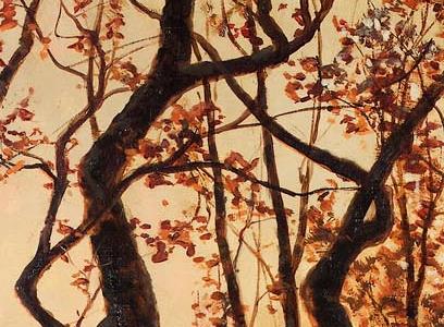 Фрагмент Forest sunset