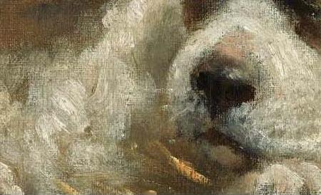 Фрагмент FOUR CURIOUS SAINT BERNARDS PUPPIES