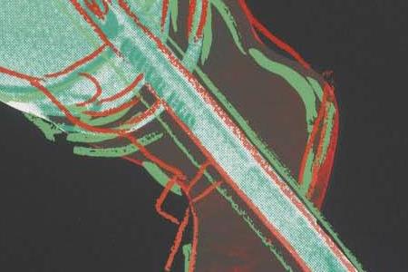 Фрагмент FROLUNDA HOCKEY PLAYER