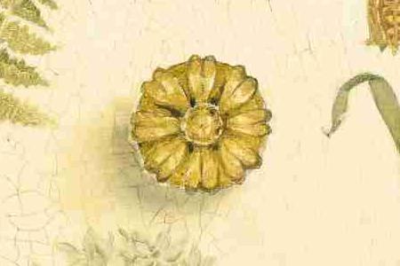 Фрагмент Galerie des Fleurs