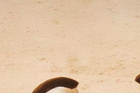 Фрагмент Gentlemen