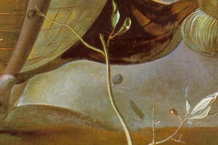 Фрагмент географический коллапс