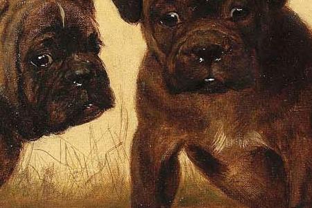 Фрагмент Главная из них Лягушка