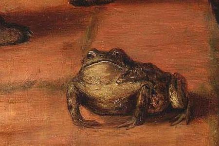 Фрагмент Главная из них Лягушка