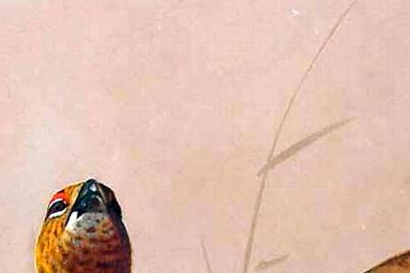 Фрагмент Глухарь на взлете