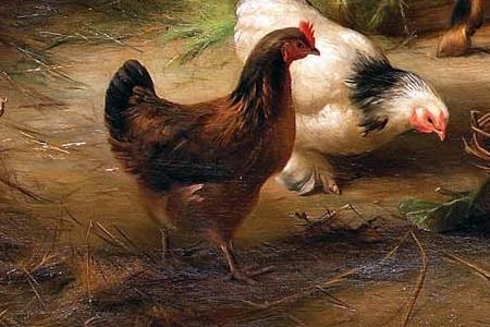 Фрагмент Goats and chickens in a stable