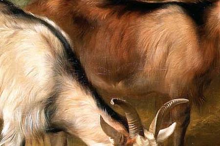 Фрагмент Goats and chickens in an interior