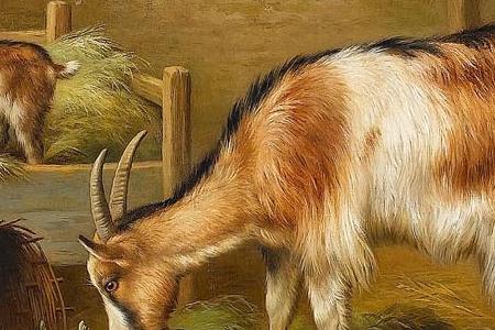 Фрагмент Goats chickens and chicks in a farmyard