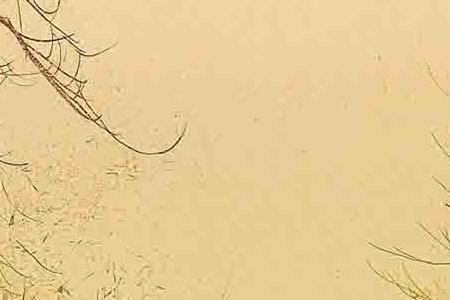 Фрагмент Golden Autumn