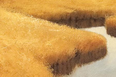 Фрагмент Golden grasses