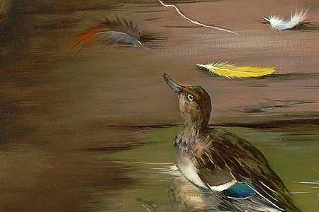 Фрагмент Golden pheasant and miscellaneous fowl