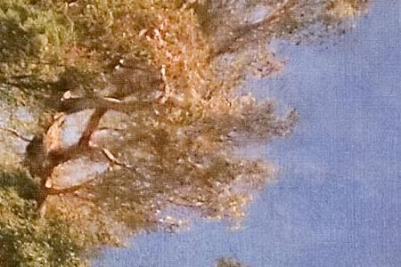 Фрагмент Горное озеро. 1856