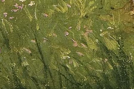 Фрагмент Гречиха в цвету. 1901.