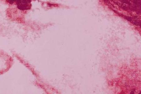 Фрагмент HAPPY ROCKEFELLER