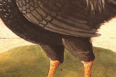 Фрагмент HENS