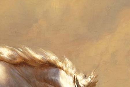 Фрагмент HORSES BALKI