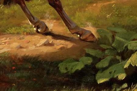 Фрагмент HORSES BALKI