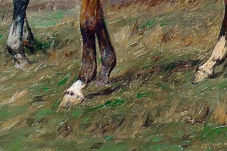 Фрагмент Horses in a paddock