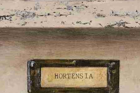 Фрагмент Hortensia