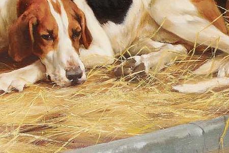 Фрагмент Hounds in a kennel