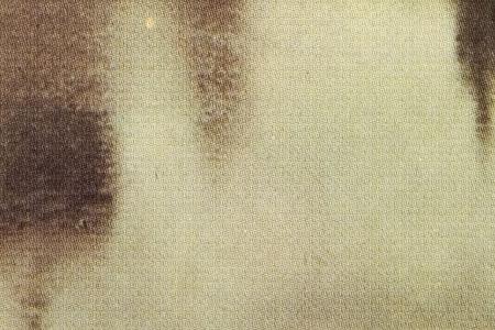 Фрагмент Храм Христа Спасителя.