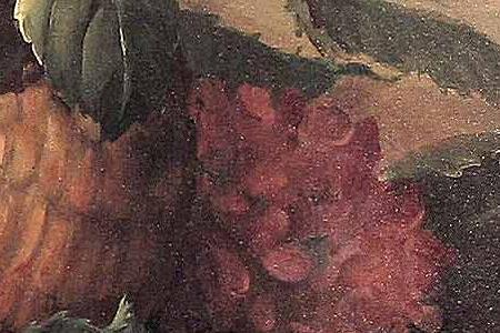 Фрагмент Hydrangeas in Pink