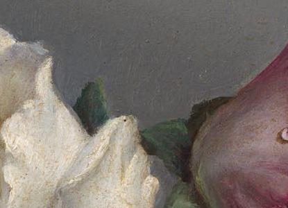 Фрагмент In Full Bloom