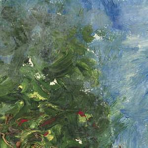 Фрагмент In the Forest