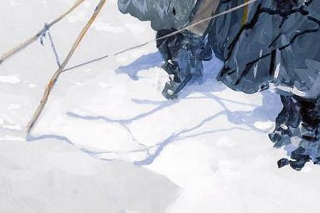 Фрагмент IN THE SNOW