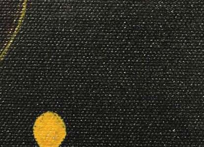 Фрагмент Индийская красавица