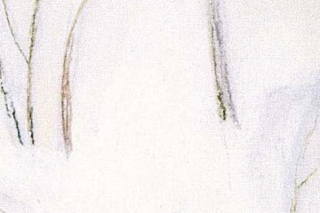 Фрагмент Иней.1988.