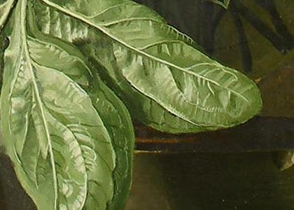 Фрагмент Iris and peonies