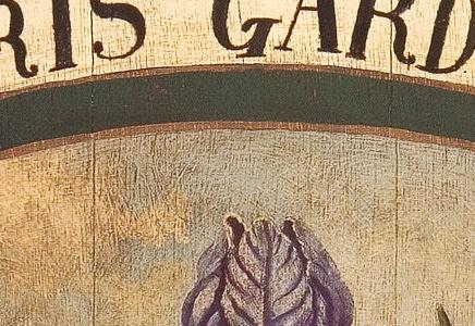 Фрагмент Iris Garden.