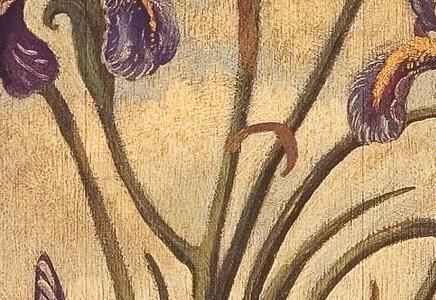 Фрагмент Iris Garden.