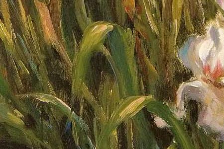 Фрагмент Iris shadows.