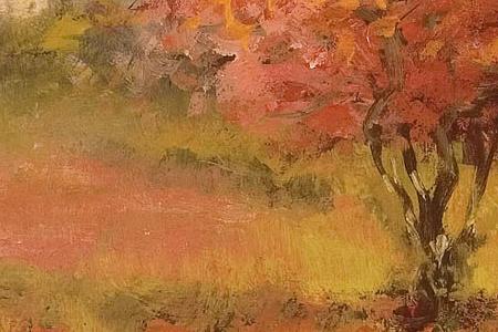 Фрагмент Iris Sunrise.