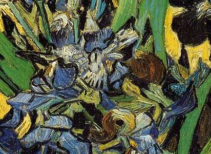 Фрагмент Ирисы