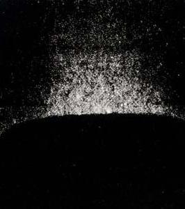 Фрагмент Joseph Beuys черно белый