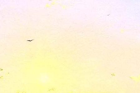 Фрагмент Керчь