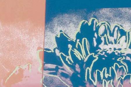 Фрагмент KIKU розовый, голубой, синий