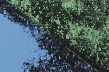 Фрагмент KIMIKO на голубом фоне