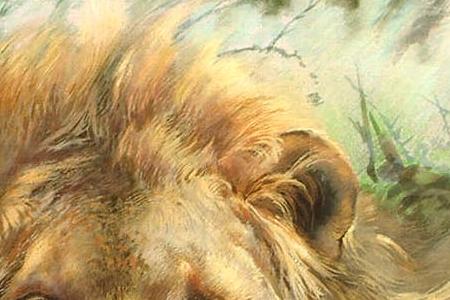 Фрагмент King of the Jungle