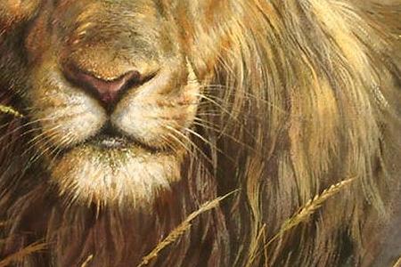 Фрагмент King of the Jungle