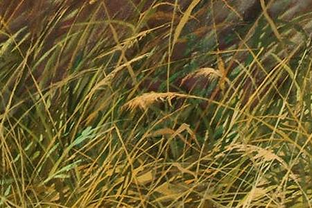 Фрагмент King of the Jungle