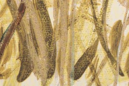 Фрагмент Композиция 7-1