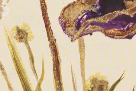 Фрагмент Композиция 7-2