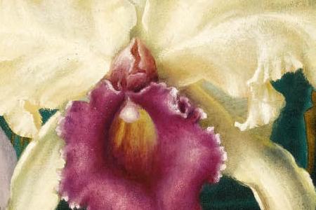 Фрагмент Композиция из орхидеи