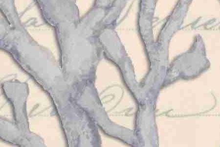 Фрагмент Кораловая ветвь