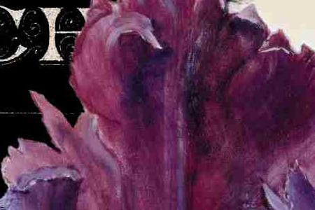 Фрагмент Королевский тюльпан 2