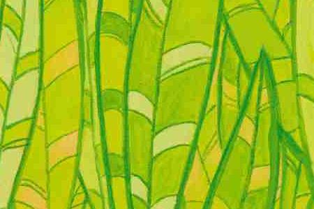 Фрагмент Котик